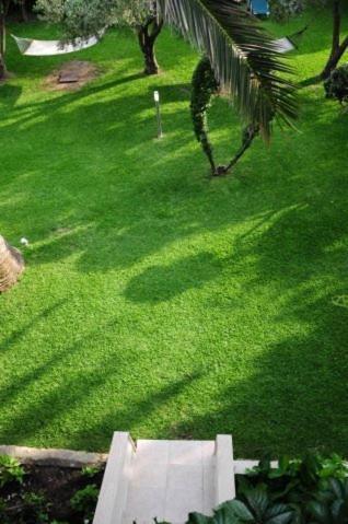 Villa Panagiota トロニ エクステリア 写真
