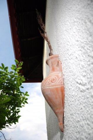 Villa Panagiota トロニ エクステリア 写真